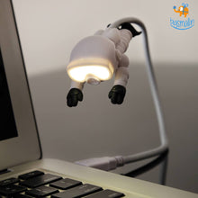 Load image into Gallery viewer, Scuba Diver USB Night Light