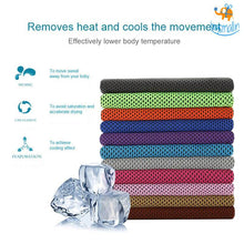 Load image into Gallery viewer, Hot &amp; Cold Towel
